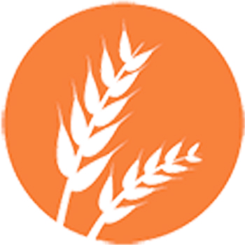 Gluten gluten